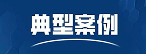 典型案例