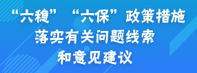 “六稳” “六保”政策措施落实有关问题线索和意见建议