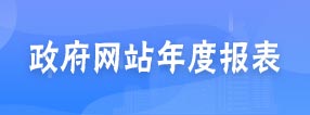 政府网站年度报表